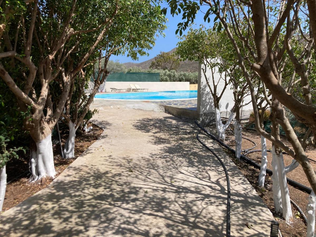 Rousolakos Pool Apartments Palékastro Eksteriør bilde